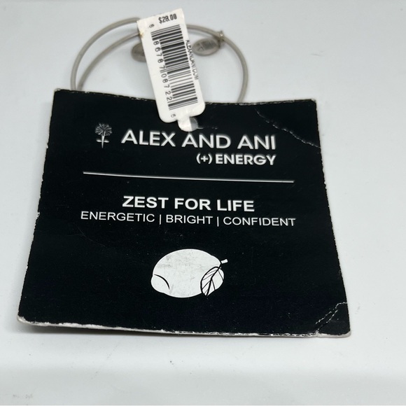 Alex And Ani Zest for Life Bracelet NWT - Picture 2 of 2